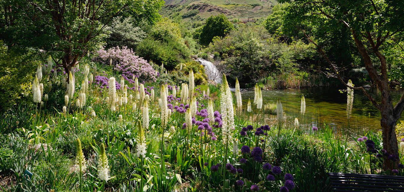 A waterfall with white and purple flowers at Red Butte Garden and Arboretum in Salt Lake City, Utah.