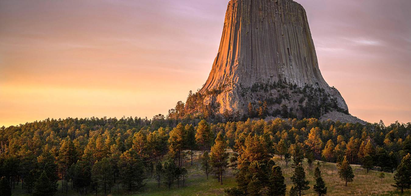 Devils Tower rises above the trees at golden hour in Wyoming.