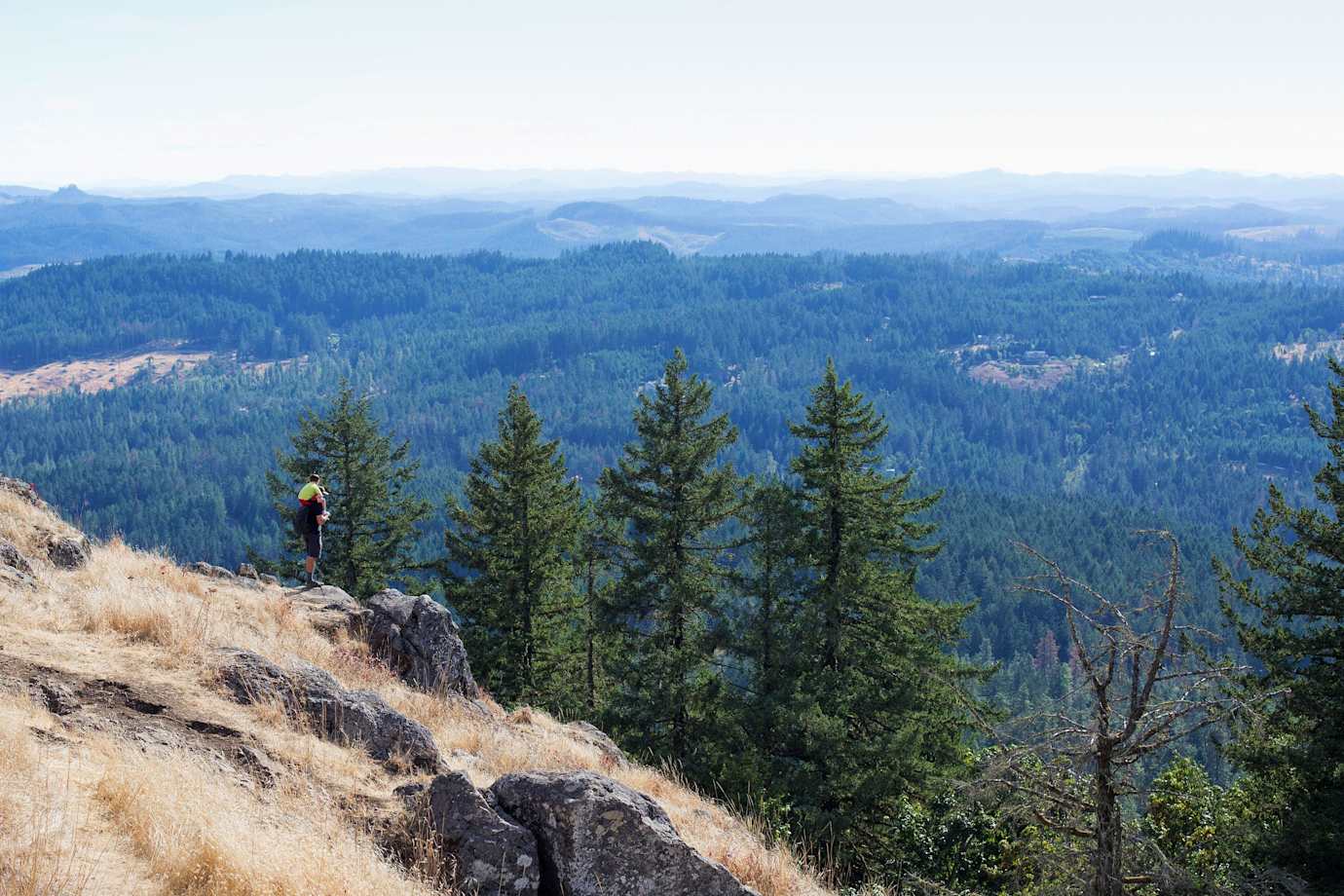 A person with a small child on their shoulders looks out over pine tree-covered mountains