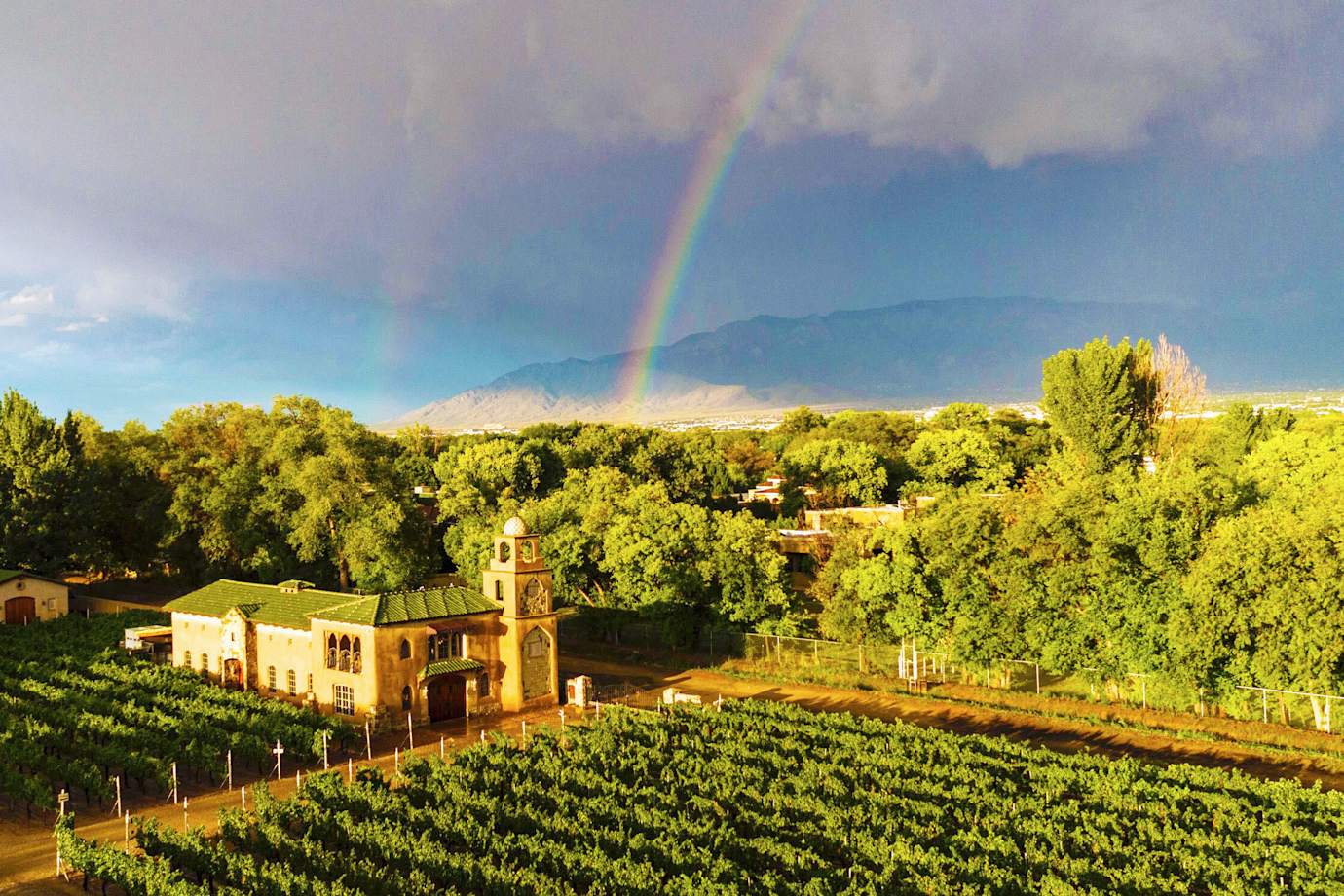 a rainbow over a vineyard and winery building
