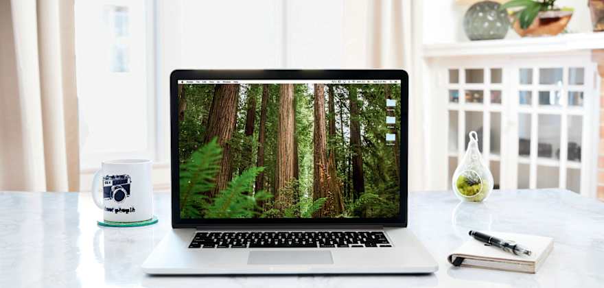 12 Ways to Organize Your Digital Life