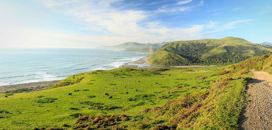 Escape to California's Lost Coast