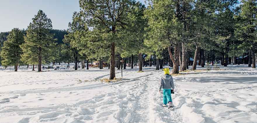 Snowshoe trail leads to heated yurts in Arizona’s Coconino National Forest