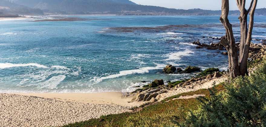 A Weekend in Carmel, California