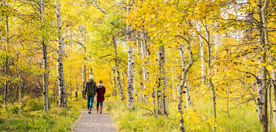 A couple walks Taylor Creek Loop in South Lake Tahoe, California.