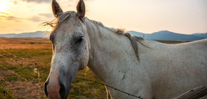 Things We Love about Lewistown, Montana