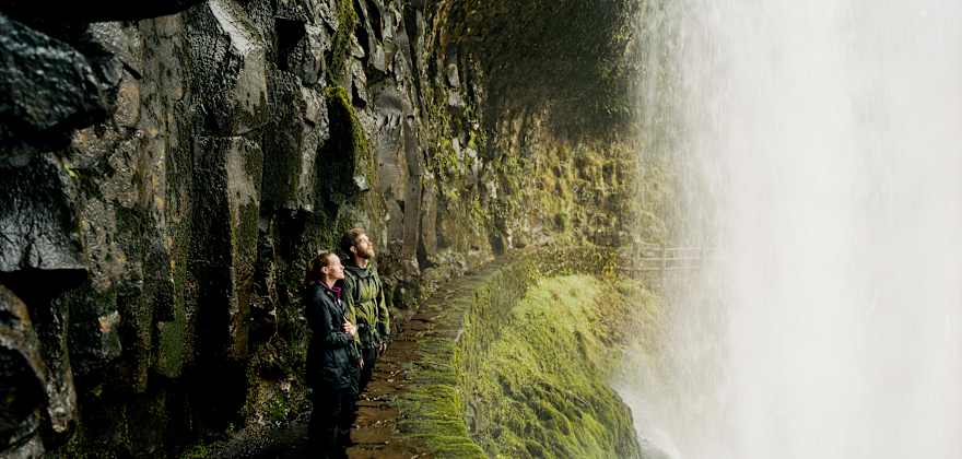 Fall Trip to Silver Falls State Park, Oregon