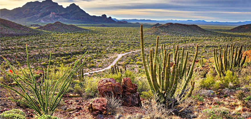 5 Great Arizona Drives