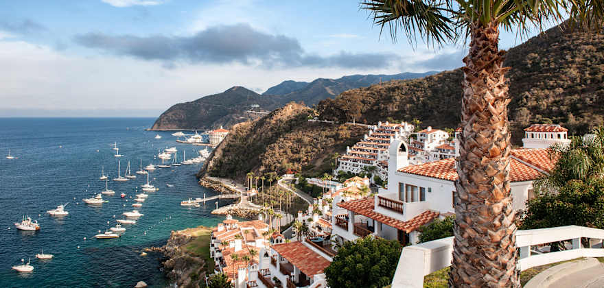 Catalina Island: 5 Things We Love
