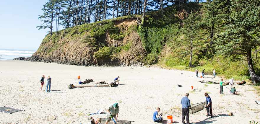 How to Save Our Beaches from Plastic Pollution
