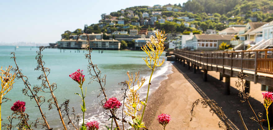 5 Ways to Enjoy San Francisco Bay