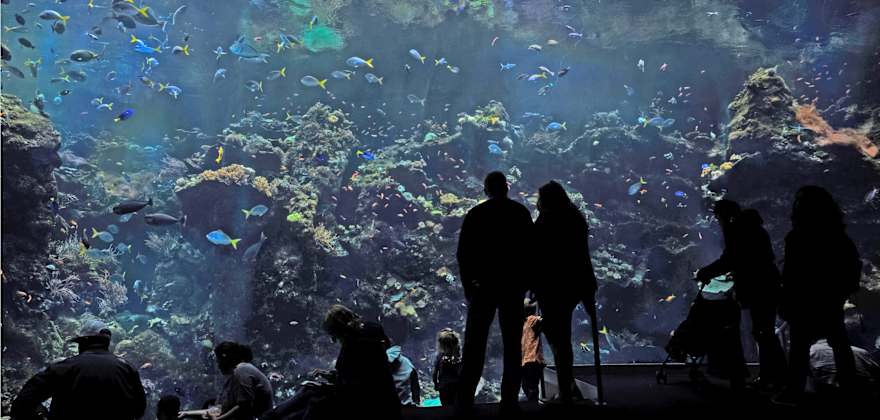Top Aquariums in the West