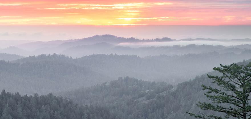 The Corralitos Wine Trail in the Santa Cruz Mountains