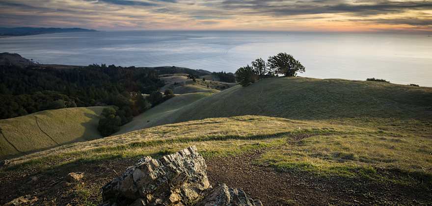 Mt. Tam's Verna Dunshee Trail