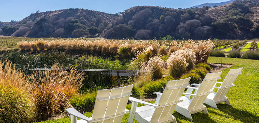 Adirondack chairs at the edge of a pond at Wrath Wines, picture