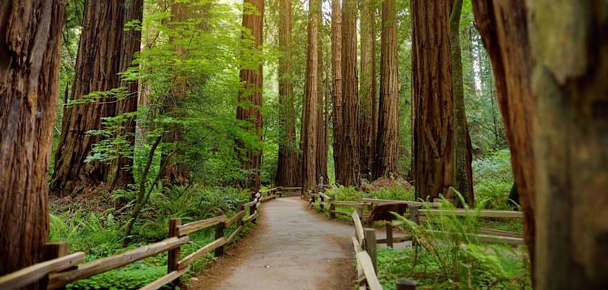 6 Places to Learn About John Muir