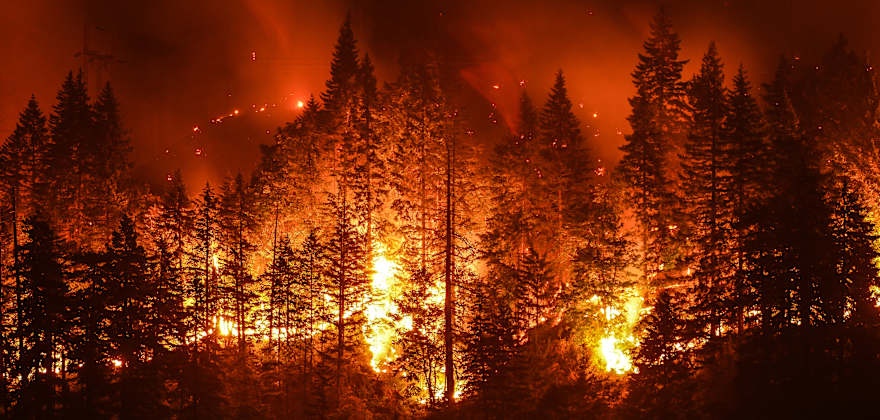 Eagle Creek Wildfire in Columbia River Gorge, Oregon.