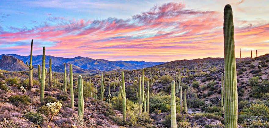 Places to Visit and Things to Do in Arizona