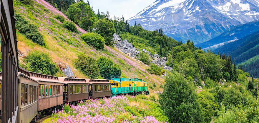 AAA Members ride a train through Alaska's wildflowers.