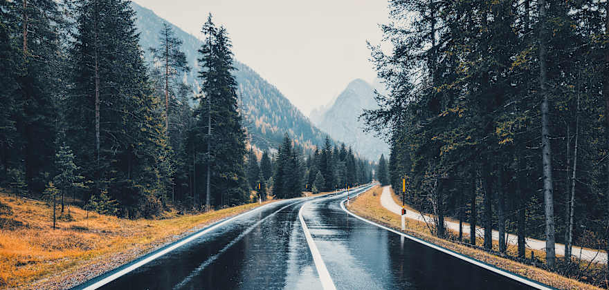 Wet forest road.
