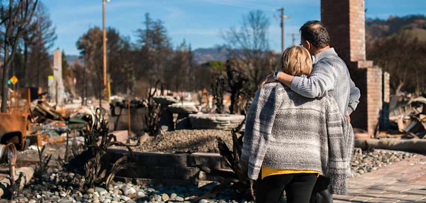 What to Do After a Wildfire