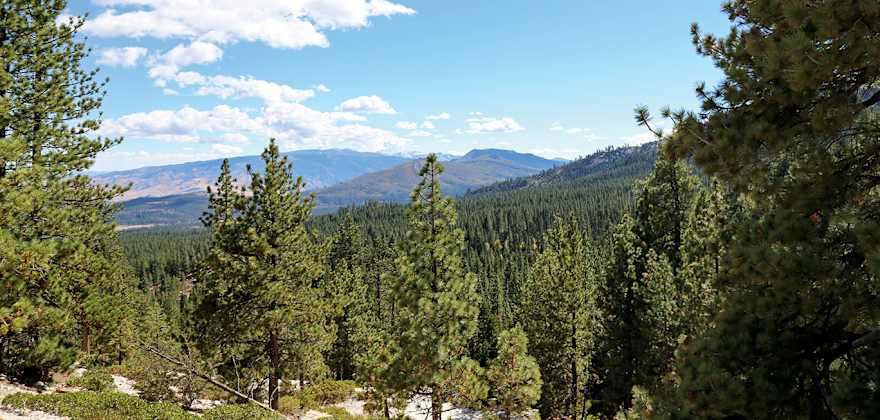 Spring in the Sierra: Crystal Peak Park