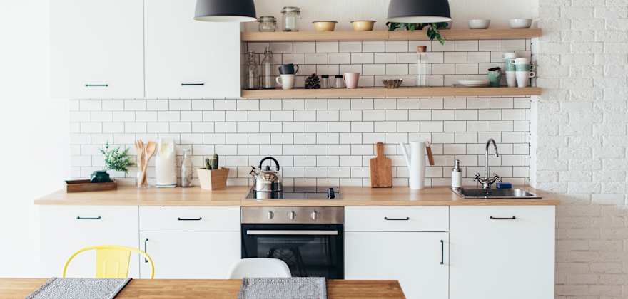 How to Keep Pests Out of Your Home