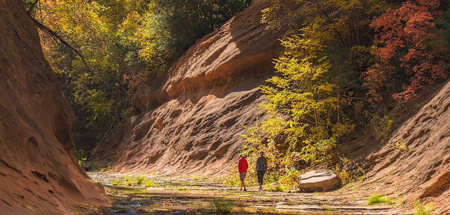 Best Places to Enjoy Fall Color in Arizona