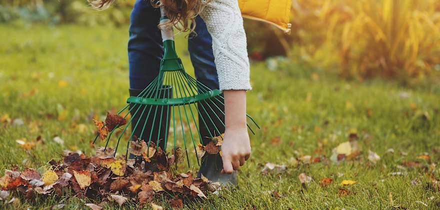 How to Prepare Your Garden for Winter