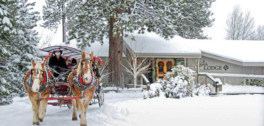 Things to Do in Sisters, Oregon