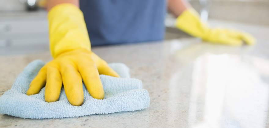 How to Prevent and Get Rid of Ants