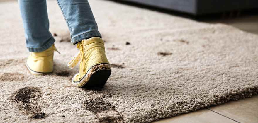 What to Do When Your Child Breaks Something