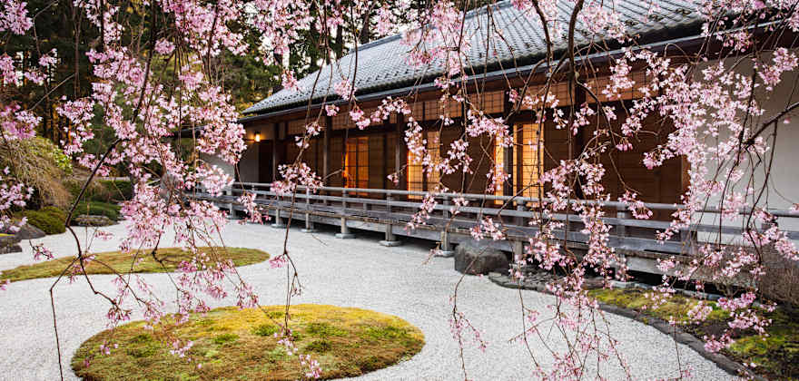 7 Spots to See Cherry Blossoms in the West