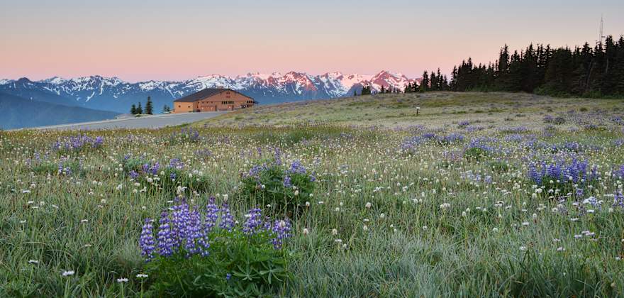 Sunrise at Hurricane Ridge in Olympic National Park, Washington.
