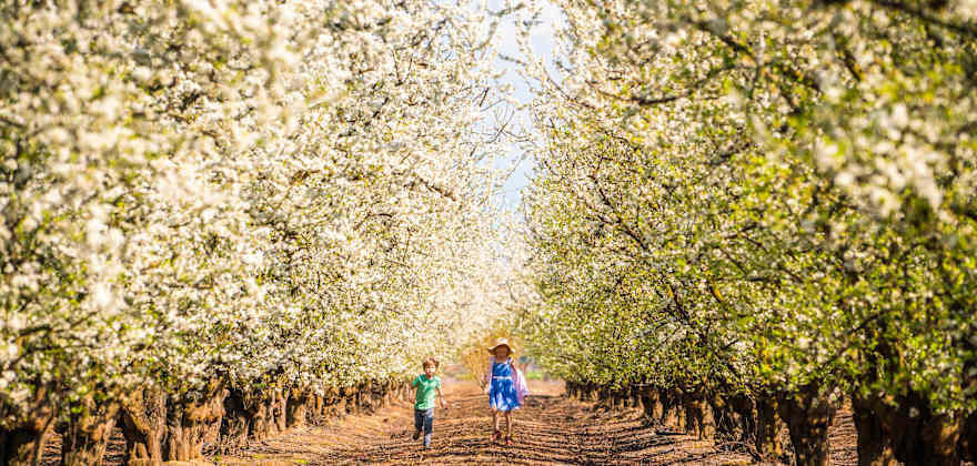A Weekend in Fresno, California
