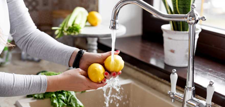How to Get Rid of Gnats and Flies