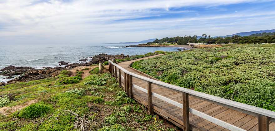 Highway 1 Road Trip: Big Sur to San Luis Obispo