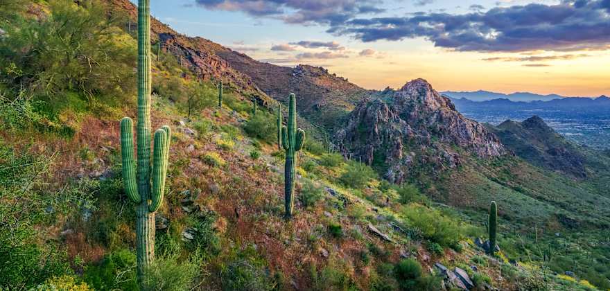 29+ Free Things to Do in Your Favorite Arizona Cities