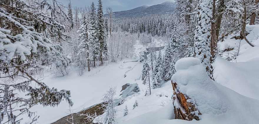 13 Free Things to do Across the West This Winter