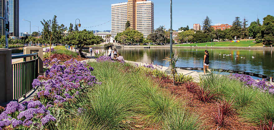 a trail with flowers around scenic Lake Merritt in Oakland, california