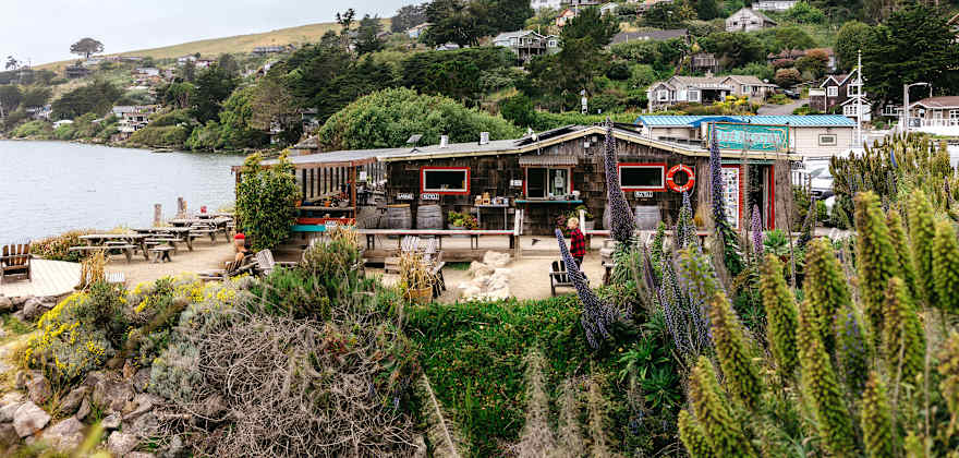a restaurant with greenery in the foreground, on the ocean