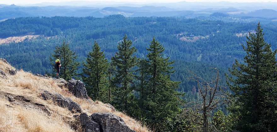 A person with a small child on their shoulders looks out over pine tree-covered mountains
