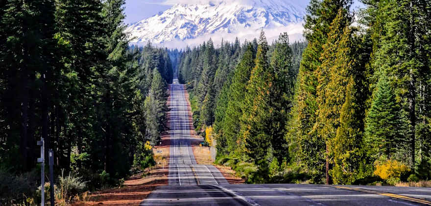 Mount Shasta in the background from the Volcanic Legacy Scenic Byway.