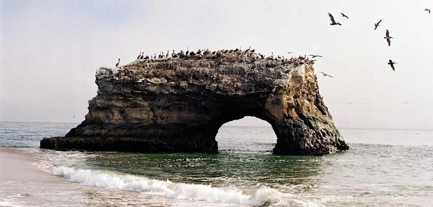 Rocks form arches along the coast at Natural Bridges State Beach, CA.