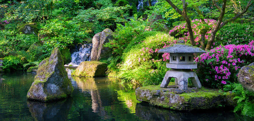 a lush green Japanese-style garden next to water