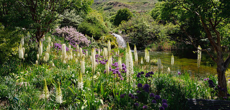 The West’s Best Botanical Gardens