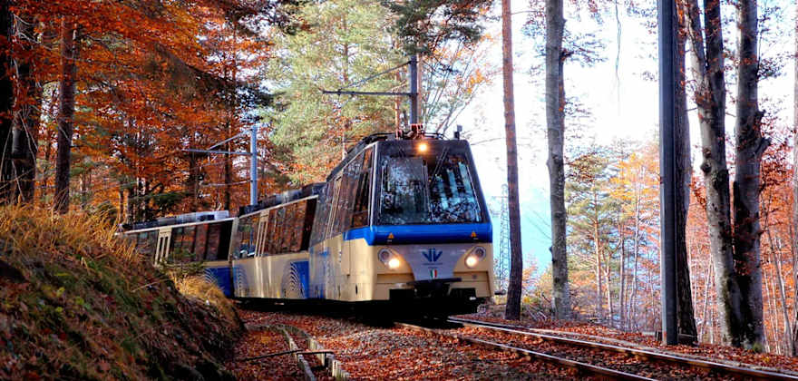 A train on the Vigezzina–Centovalli Railway goes through a stand of trees with red leaves.