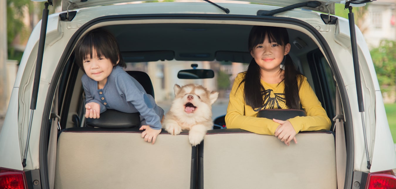 Two happy kids looking over the backseat of an SUV with a Siberian Husky puppy