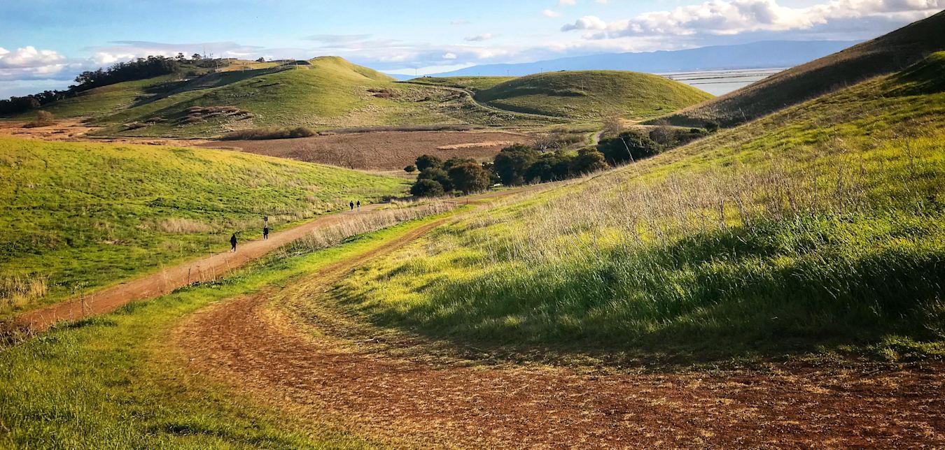 hiking trail through green grass hills in early spring, Coyote Hill, Fremont, California