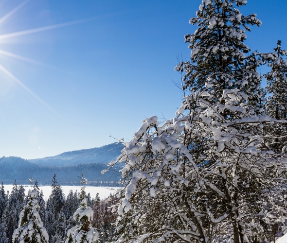 Beautiful view of the snow-covered forest opening to reveal a piece of Lake Coeur d' Alene on a sunny winter afternoon